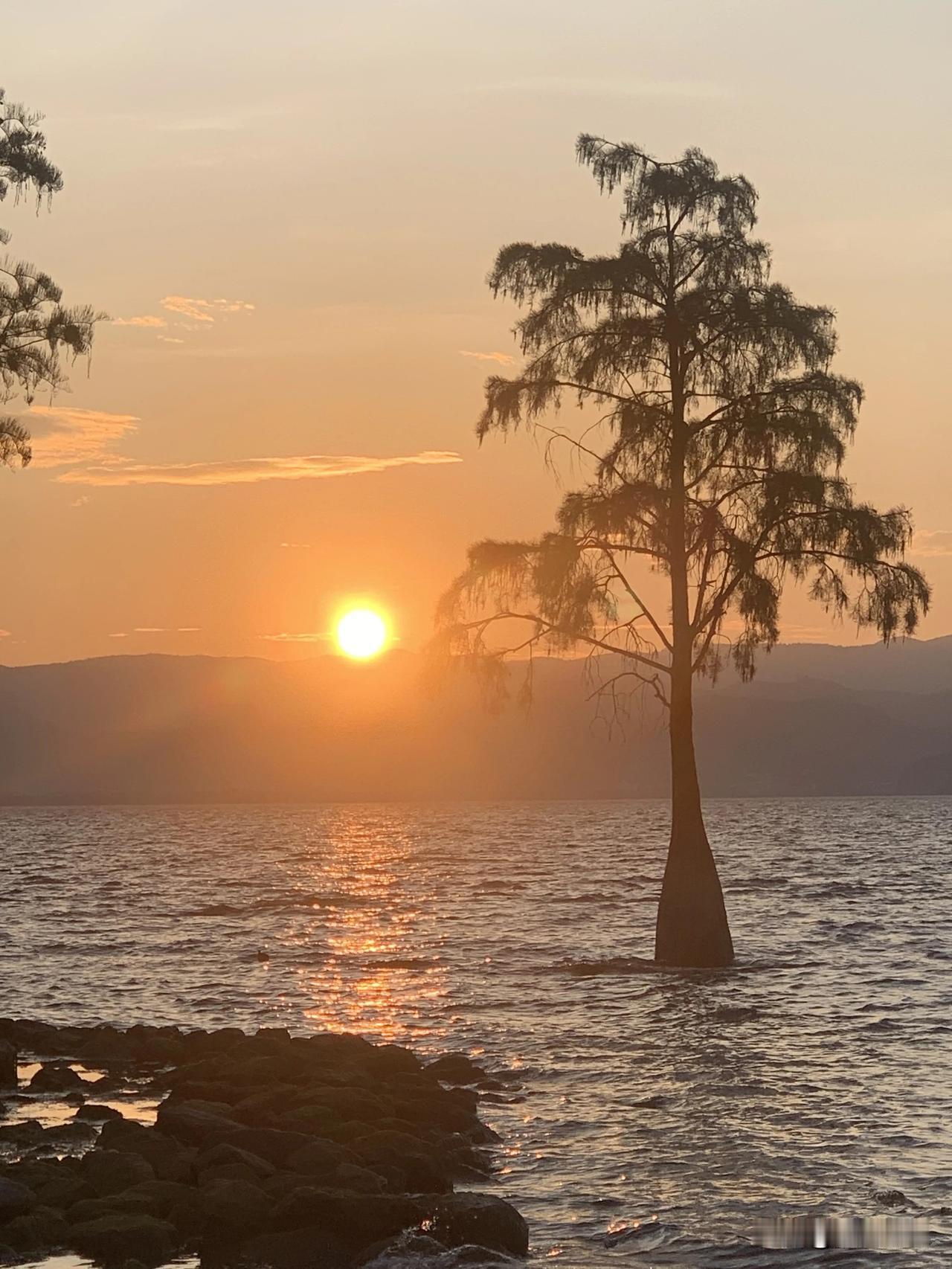 阳光超治愈🌞   心情暖洋洋🥰