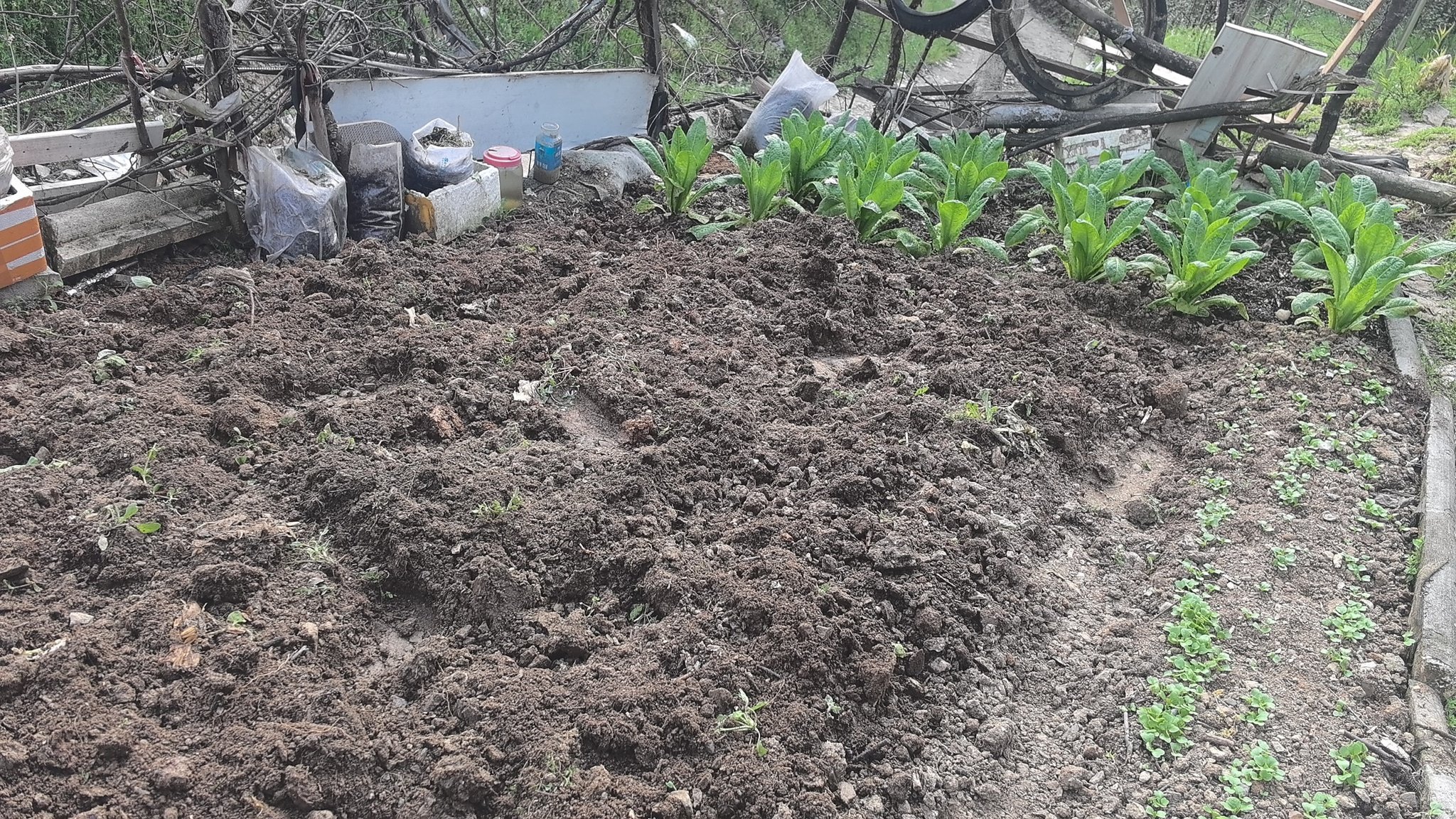 我找到一个ai无法替代的的领域，深耕了一下午。 