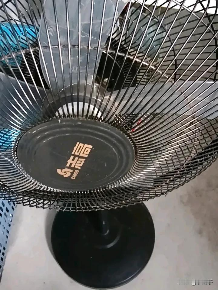 为何去年还运转正常的电风扇，今年拿出来大多都不转了呢？
家里有好几台电风扇，今年