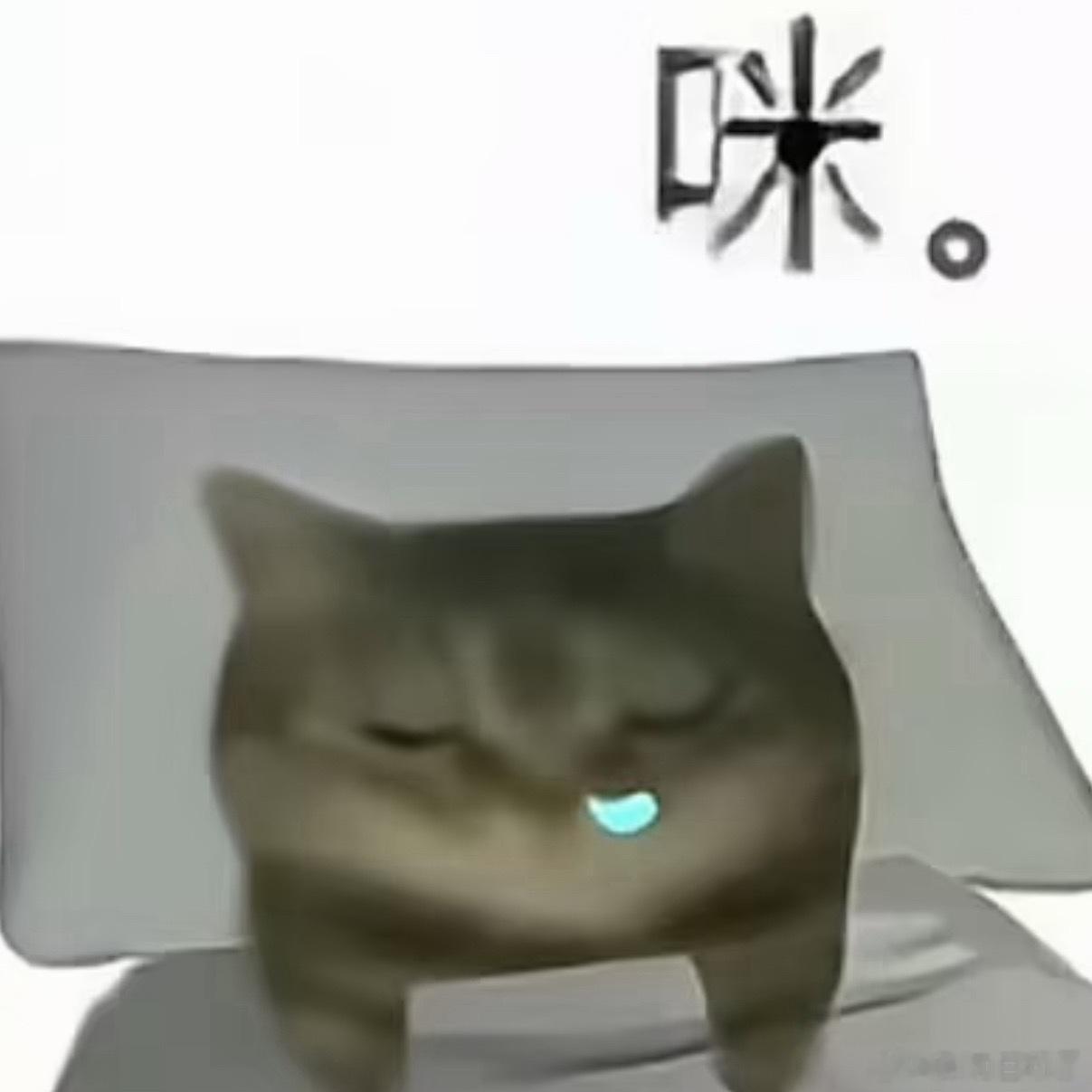 连续的狠狠地加了几天班之后，睡了一个漫长幸福的午觉。醒了之后感觉舒服的大脑皮层的