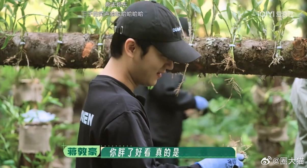 十个勤天不允许任何一个人减肥种地吧 十个勤天达成统一默契，坚决不允许任何人减肥，