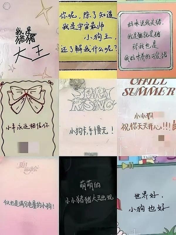 每次看到小四四们卡背对粉丝说的话，我依旧很感动