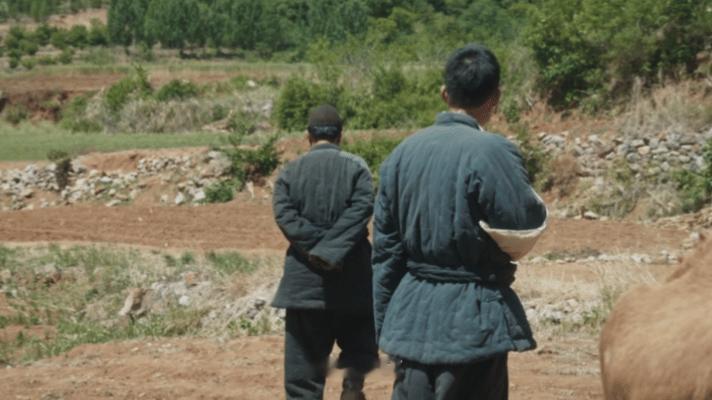 生万物三家三线三故事生万物 追剧根本停不下来！太绝了剧情[爱慕][心]，这样的剧