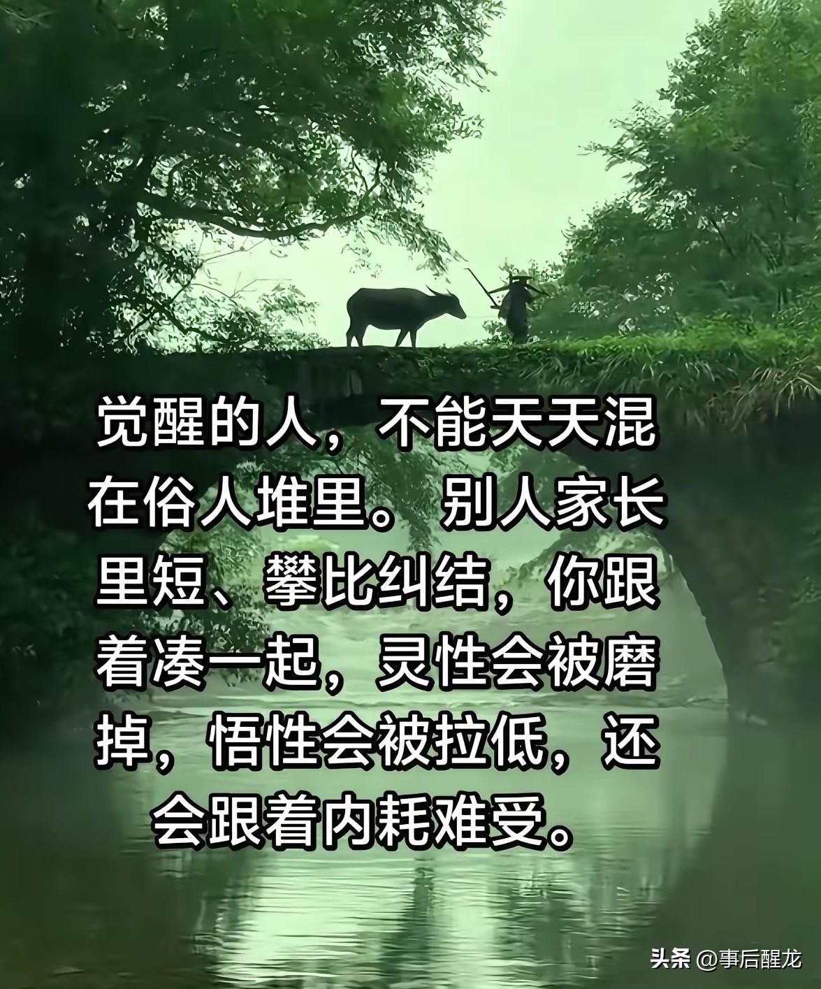 中年人有委屈只能自渡。
中年的委屈、压力、满腹心事，根本找不到一个可以全盘诉说的