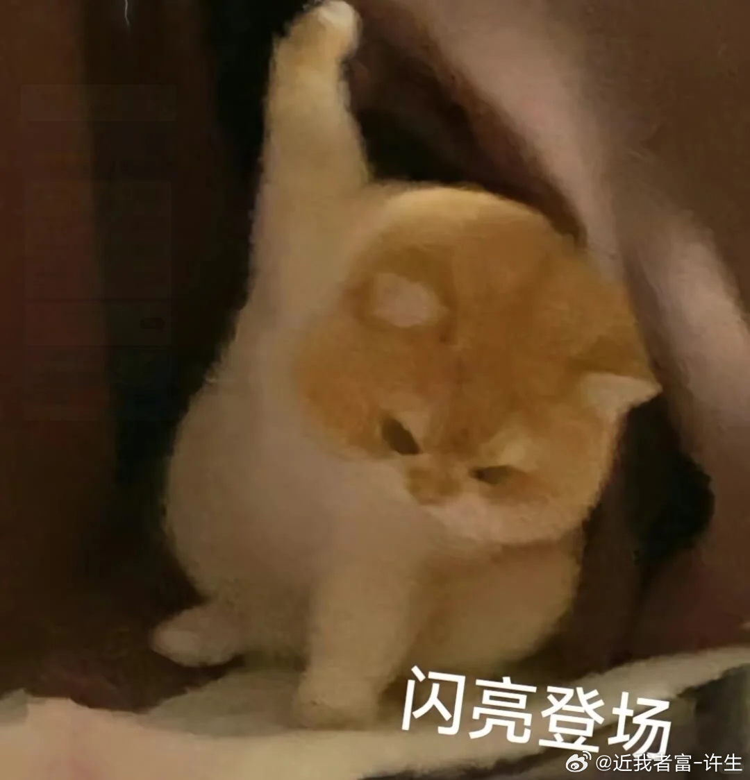 都休息够了没有？灯光师灯光打起来，DJ组音乐放起来，现在市场该咋们接手了！市场第