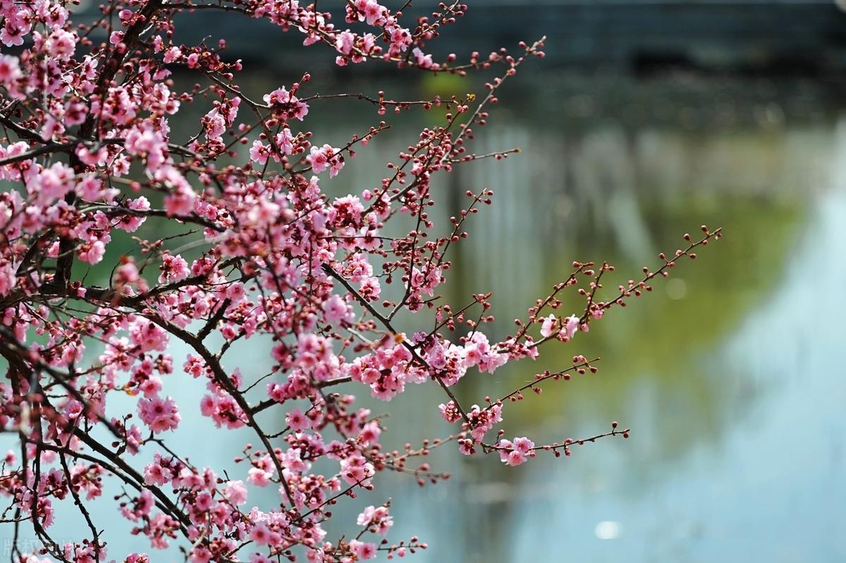 生活，你曾经就是这样给人的感觉吗？你让人觉得你很难相处，你很高大，你很威严。像一