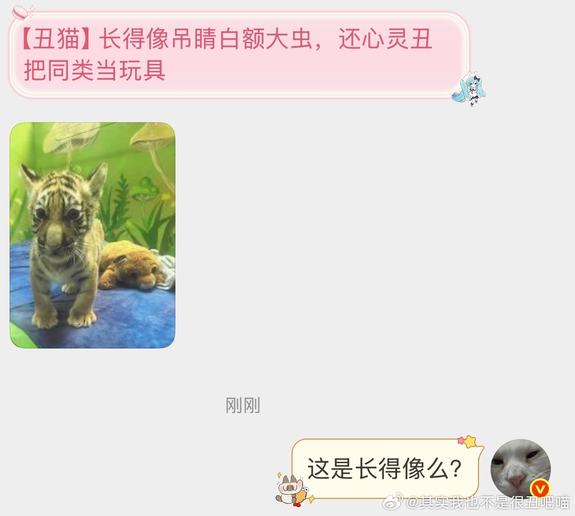 【非】一个大大的问号 继续 