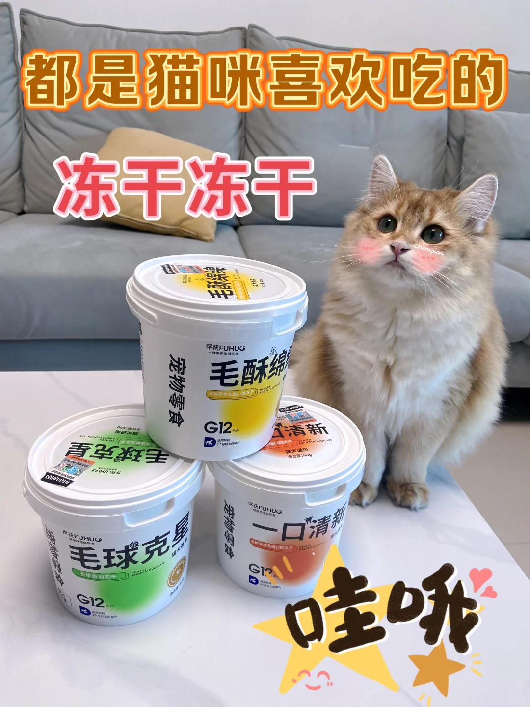 哇偶，都是猫咪喜欢吃的