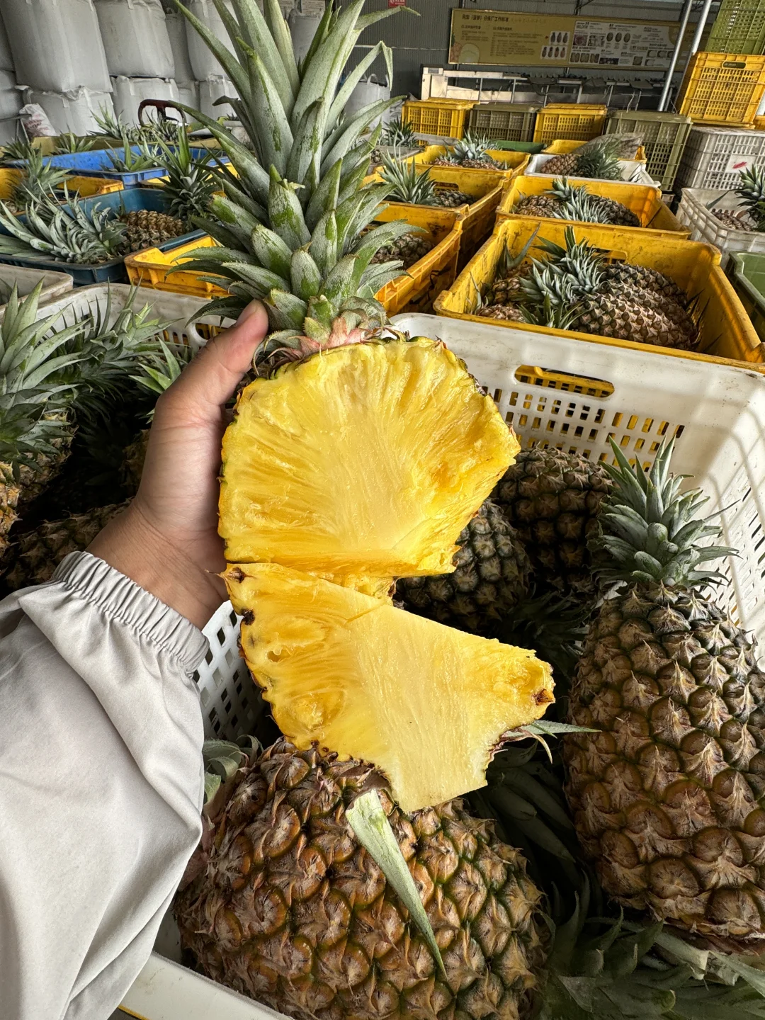 简直可笑，拿芒果凤梨图片卖给你们金钻凤梨！