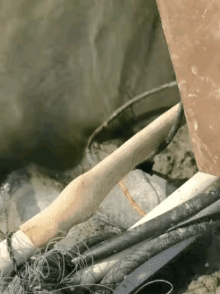 这水里面没鱼，钓鱼佬别来了