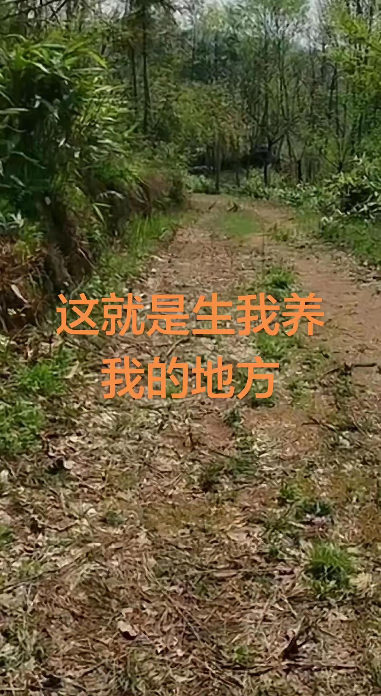 妈妈女儿好想你，我亲爱的妈妈，你在那边还好吗。😭😭