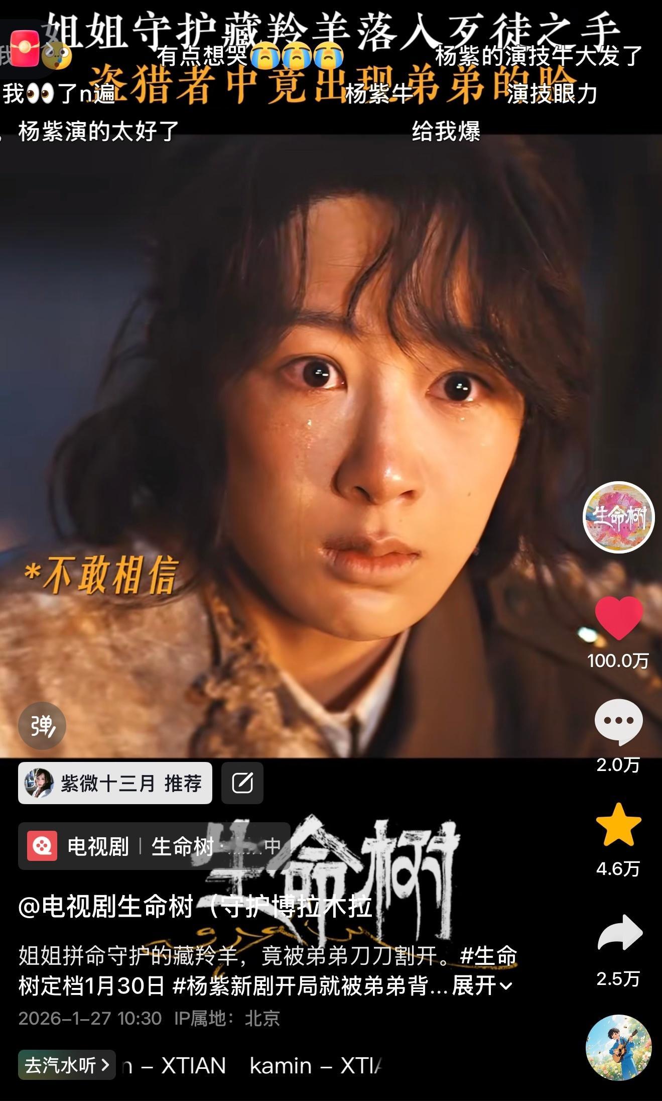 生命树第一个出圈百万赞视频是杨紫的演技名场面好爽的吧🥰生命树