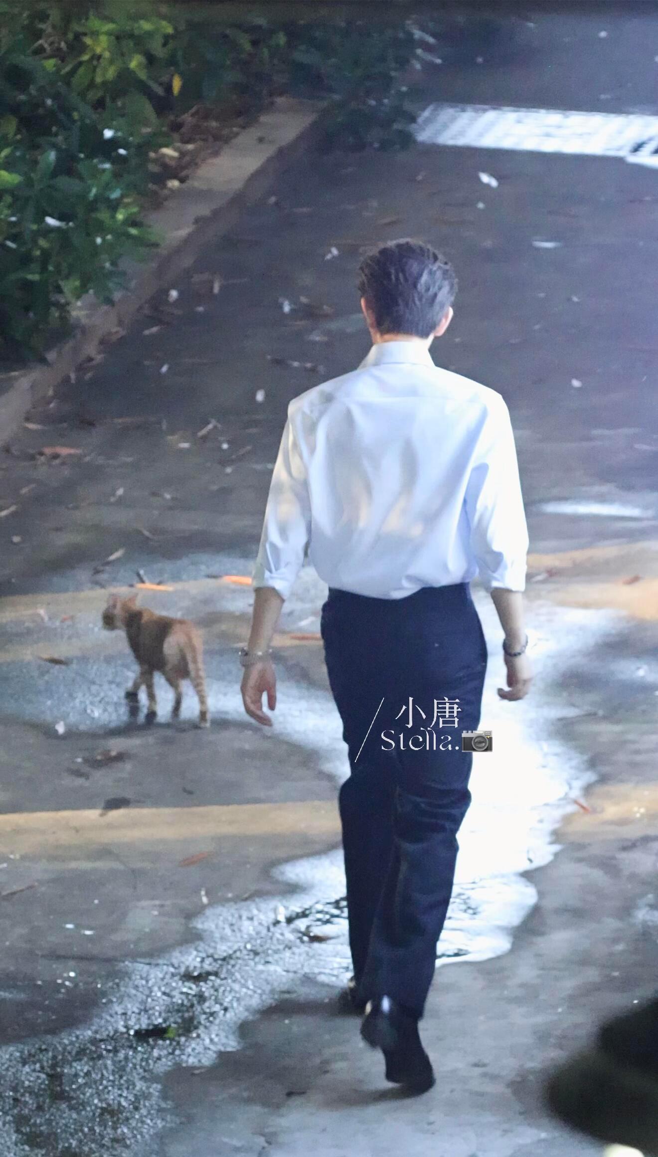 走戏路上碰到了小🐈，哈特软软 ​​​
