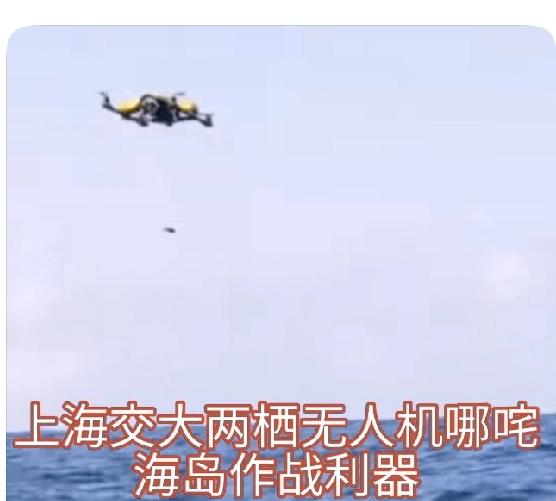 中国无人机又有新突破成为上天入海的科技新宠
 
上海交通大学无人机哪咤凭借“上天