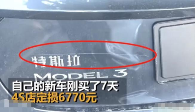 “简直大快人心！”广东一女子人肉占车位，被特斯拉车主怒怼：“车位是你家的吗？”女