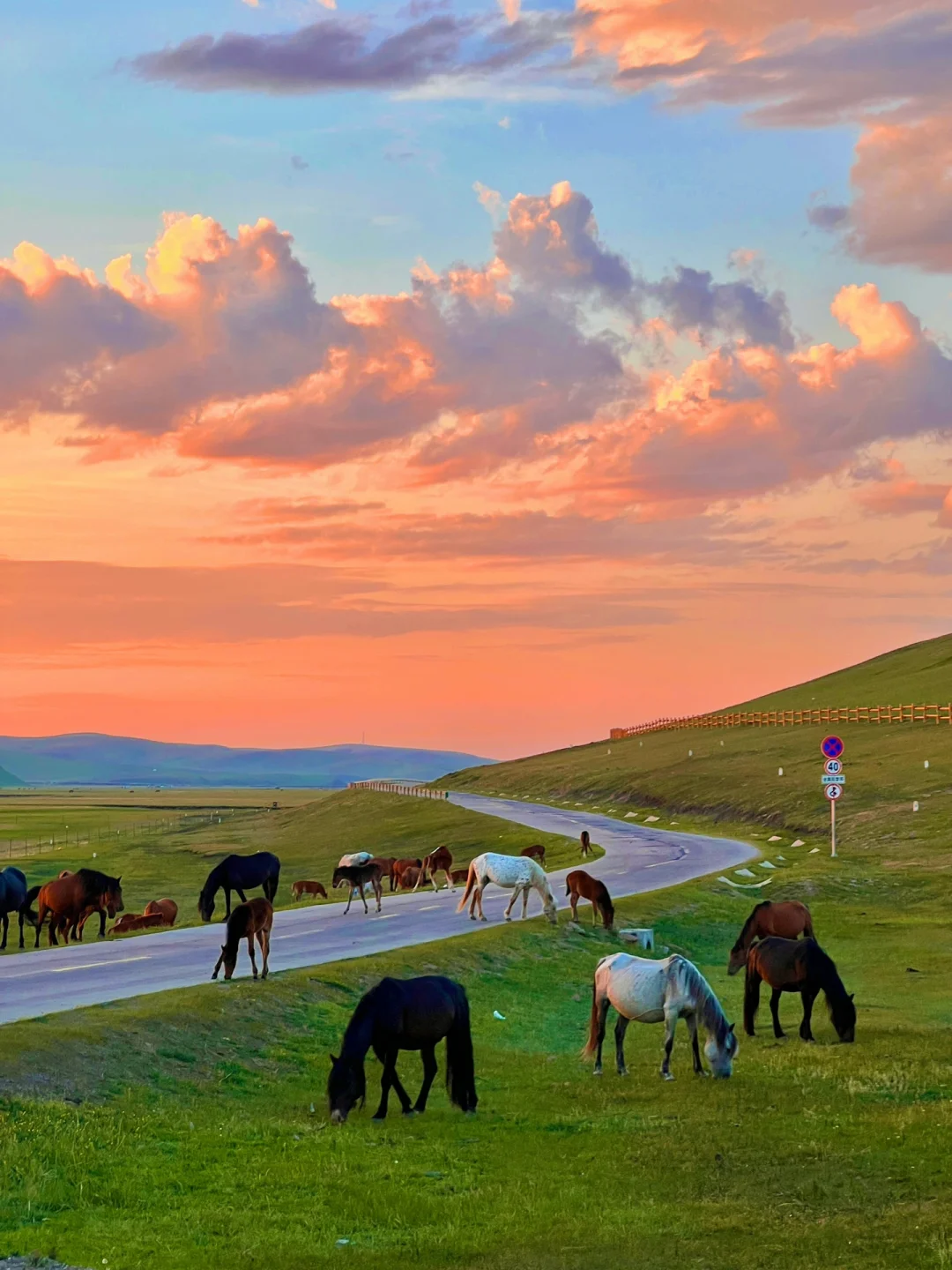 Live图 | 夏天的呼伦贝尔已经美到nextlevel