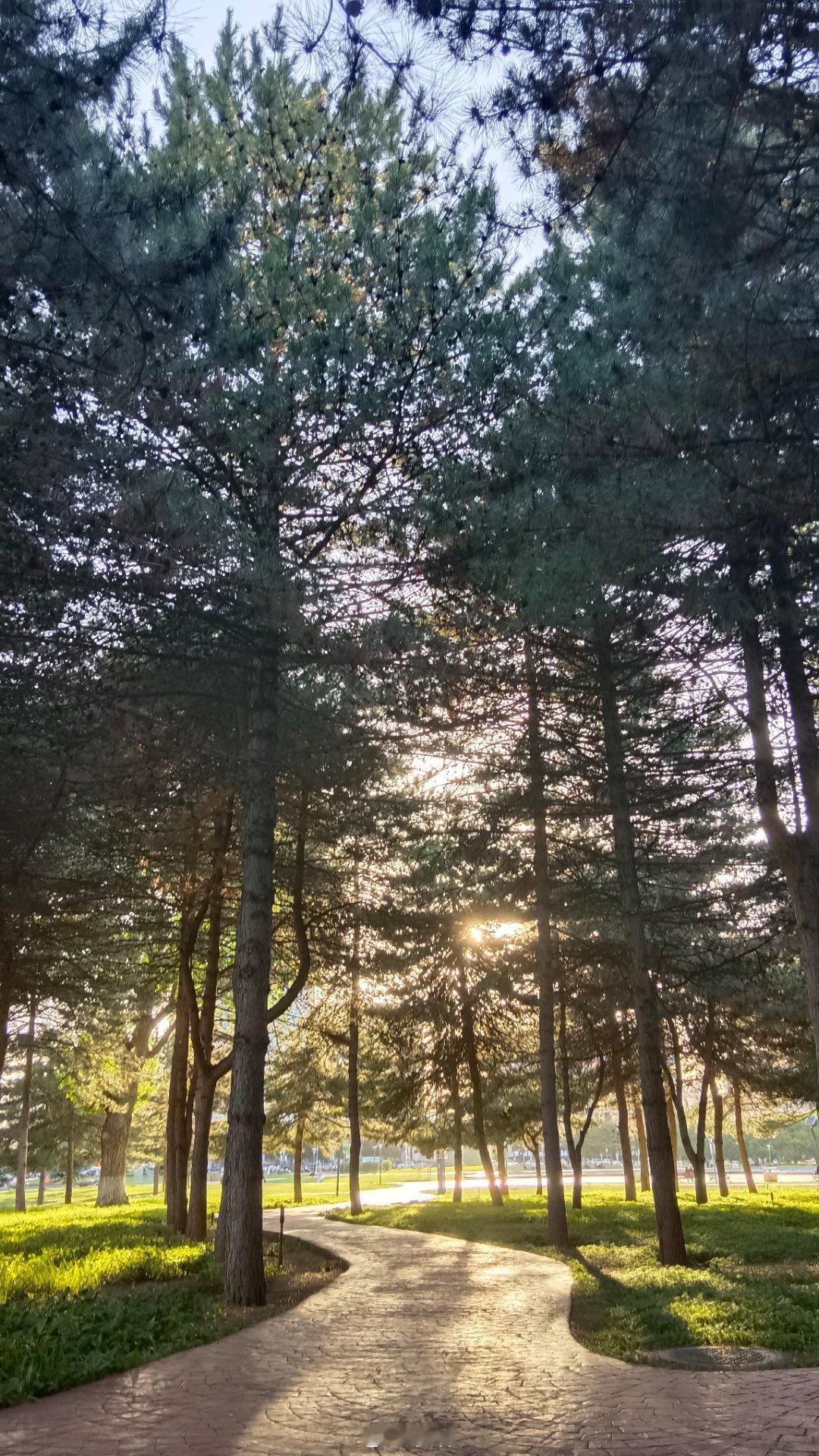 身边的风景手机摄影 夕阳洒下余晖，漫步在银河广场，绿树成荫，感受夏日的些许惬意。