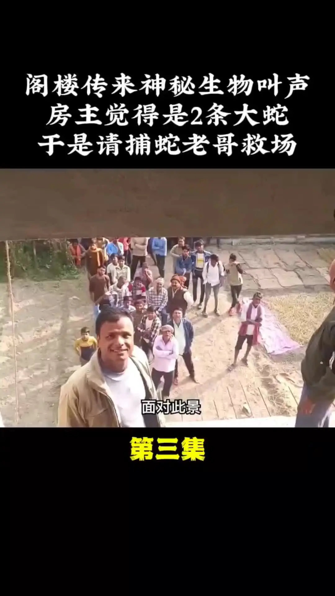 我的观影报告 内容启发搜索 动物的迷惑行为 野生动物零距离 万物皆有灵性