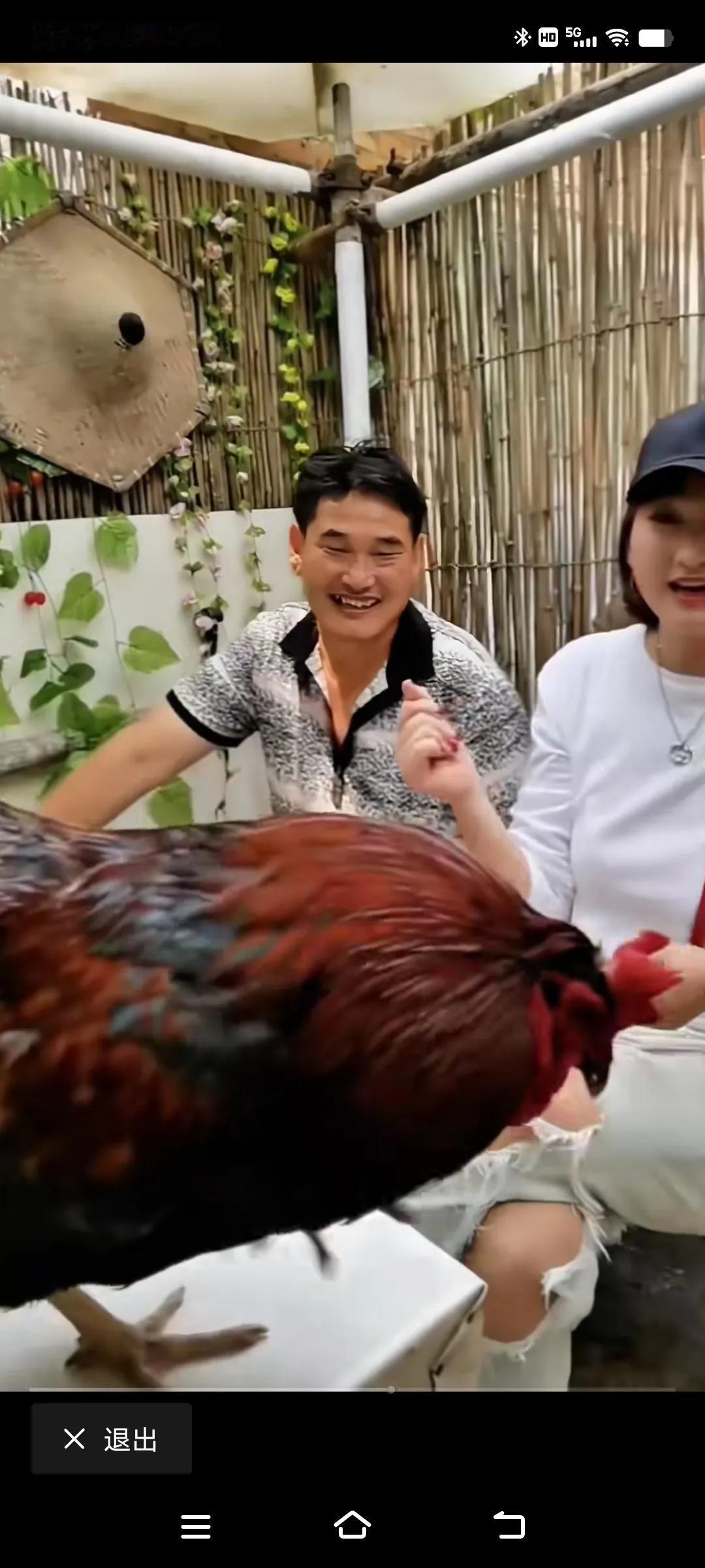 每天都在瞎折腾的大衣哥，弄🉐鸡犬不宁！#妙趣搞笑分享# #发表你的神评吧# #