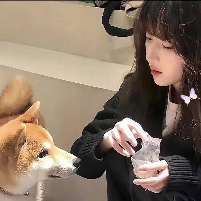 我的爱是有洁癖的，我可以不问过往，但一旦开始就不能有瑕疵，我不介意吃饭的碗别人用