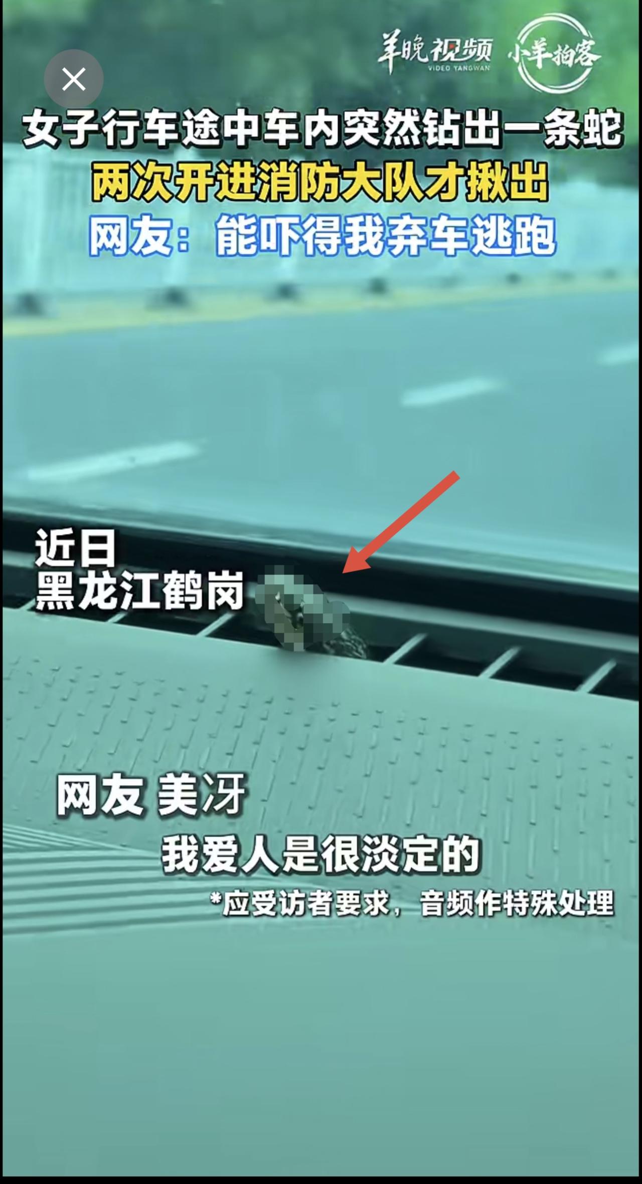 女子行车途中车内突然钻出一条蛇，两次开进消防大队才揪出，网友：能吓得我弃车逃跑。