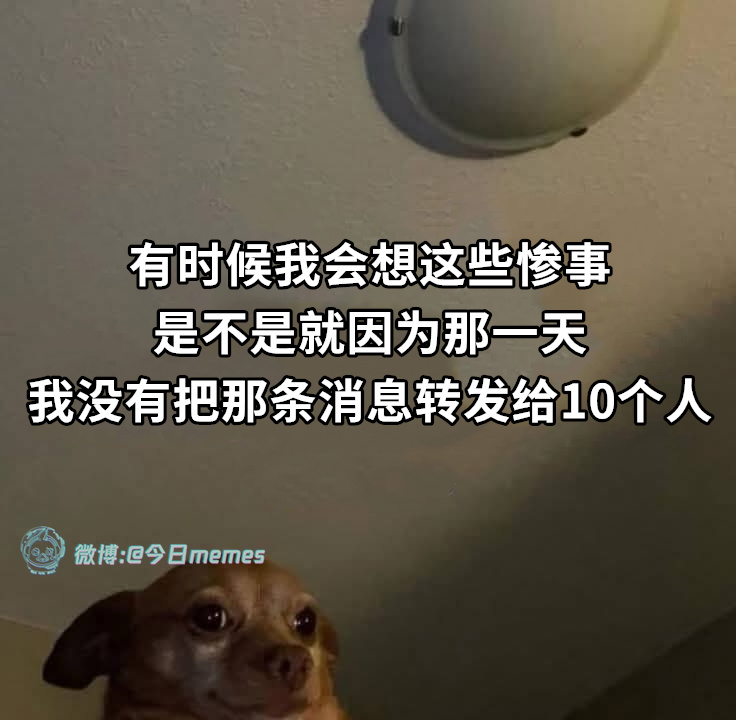 我的（9gag）今日meme[超话] 今日memes ​​​
