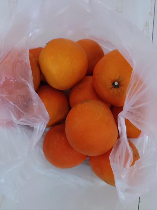 昨天帮邻居奶奶去超市买了米和油，今天奶奶的女儿拎了一袋橙子给我，说谢谢我，我说她