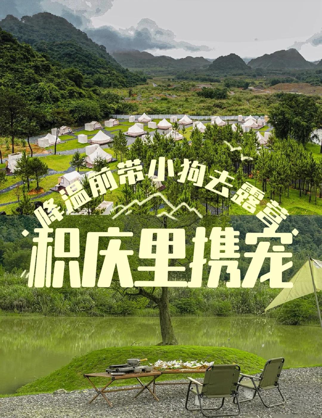 “现实版宫崎骏”🌲降温前小狗来场露营吧！
今天小编来推荐网友们称为“现实版宫崎