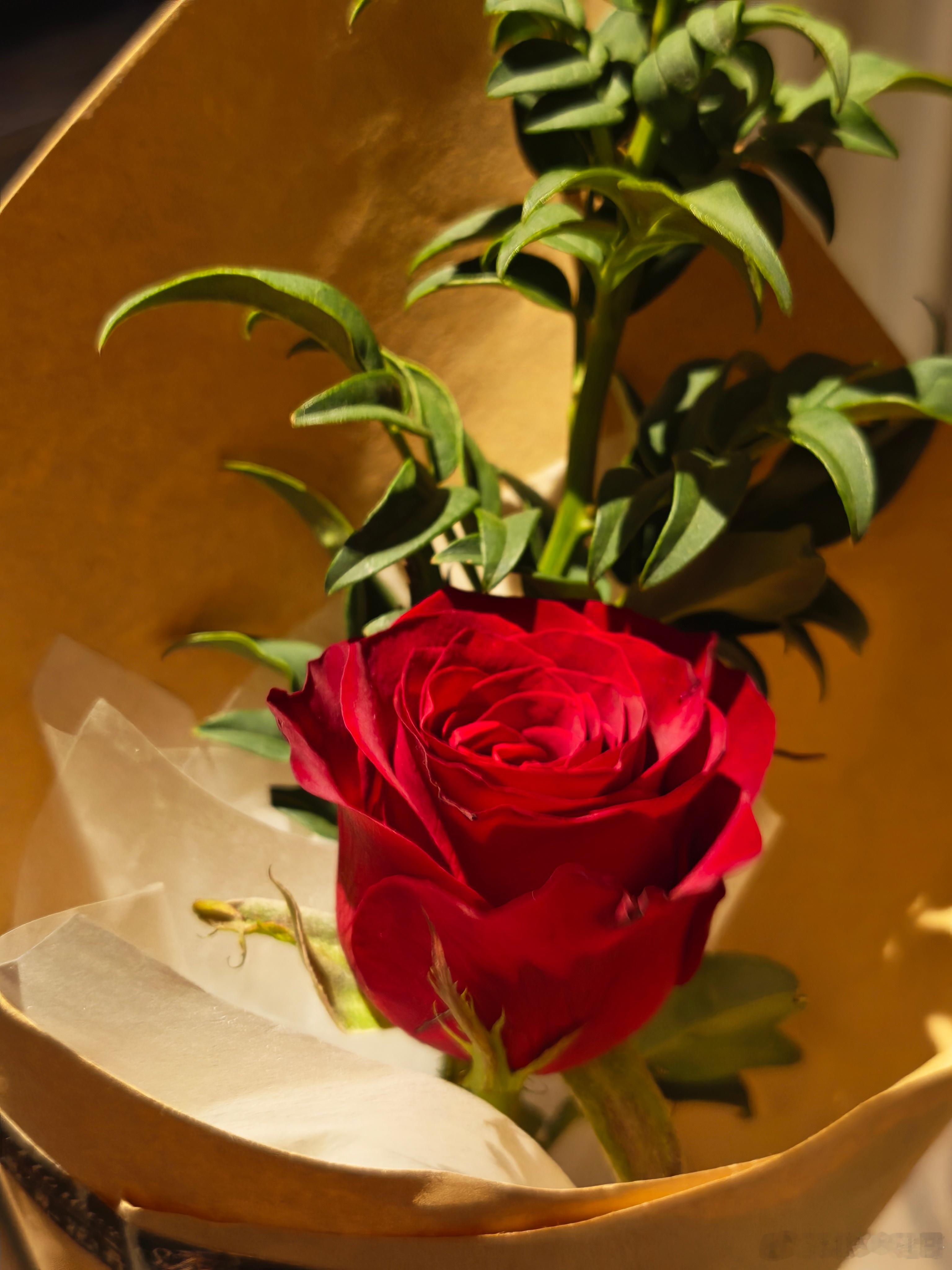 我：物料能发吗？他：能发能发然后他把伴手礼给我了…我：我不是要伴手礼，我是说保密