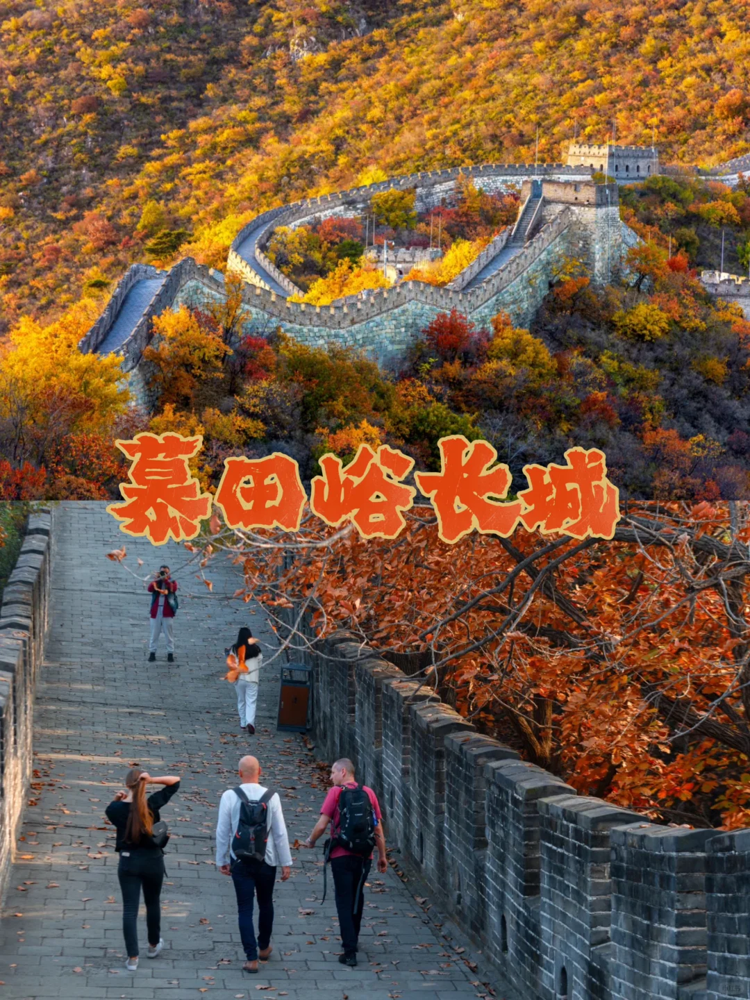 长城之秋🍂 慕田峪的浪漫邂逅团建好去处