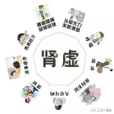 中医补肾妙招，男人的救星，20补肾阴、30补肾阳、40固精、50补精，延年益寿。