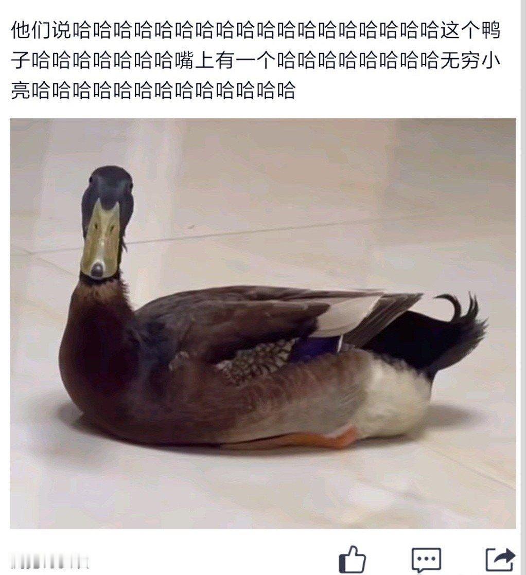 真的太像了[允悲][允悲][允悲] ​​​