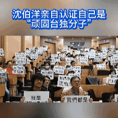 “我们都是沈伯洋，我是顽固台独分子”
哈马斯敢集体开直播，喊我们都是哈马斯吗？都