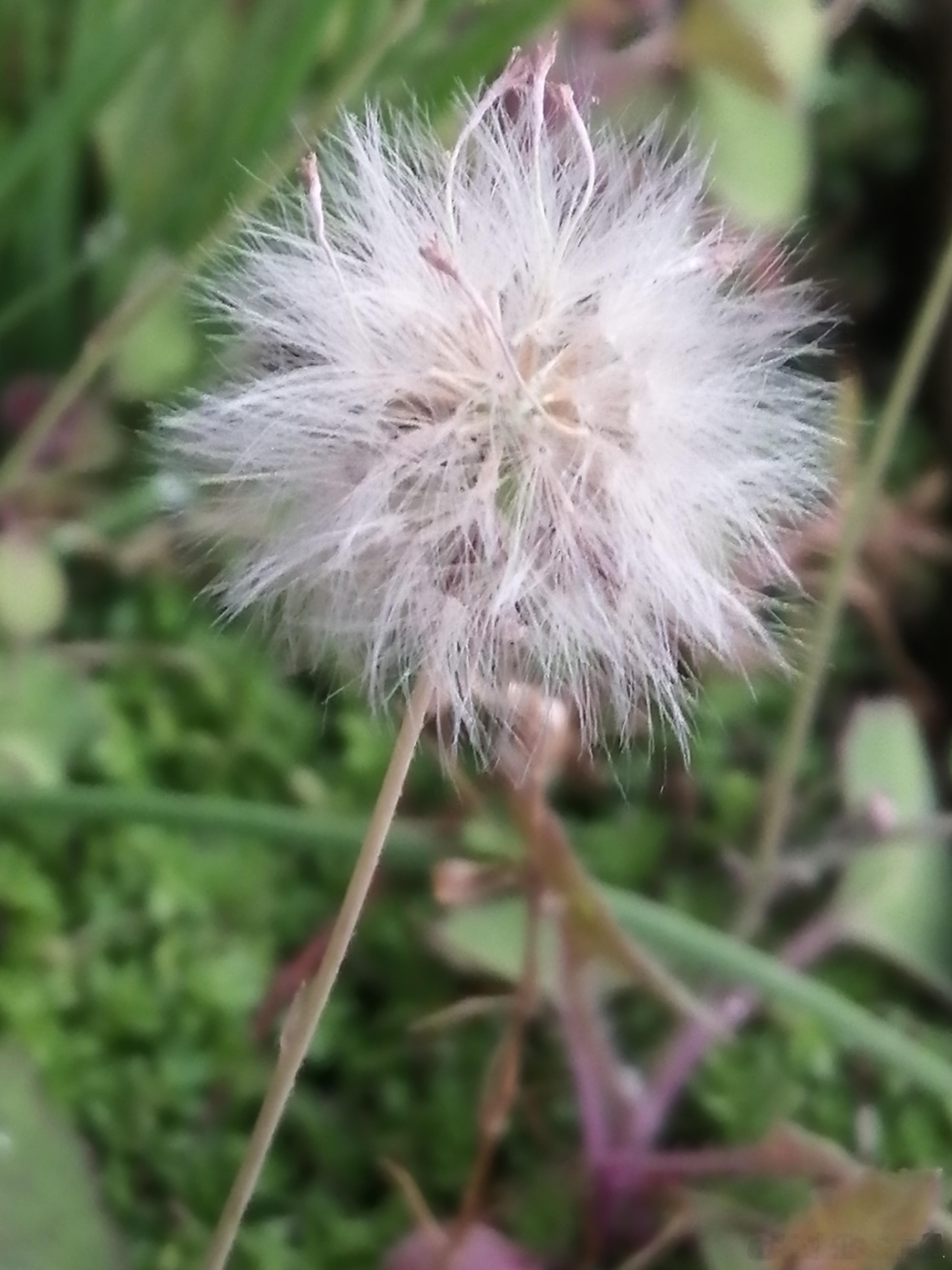 生活手记为何放假前总是忙到水都忘记喝呢 