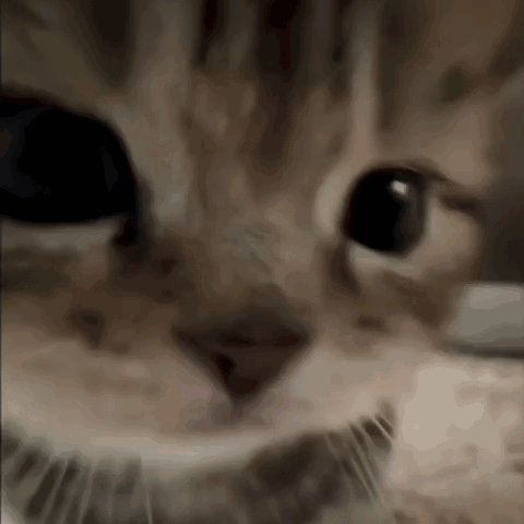 滴，牛马猴下班( ⌯' '⌯)💼 