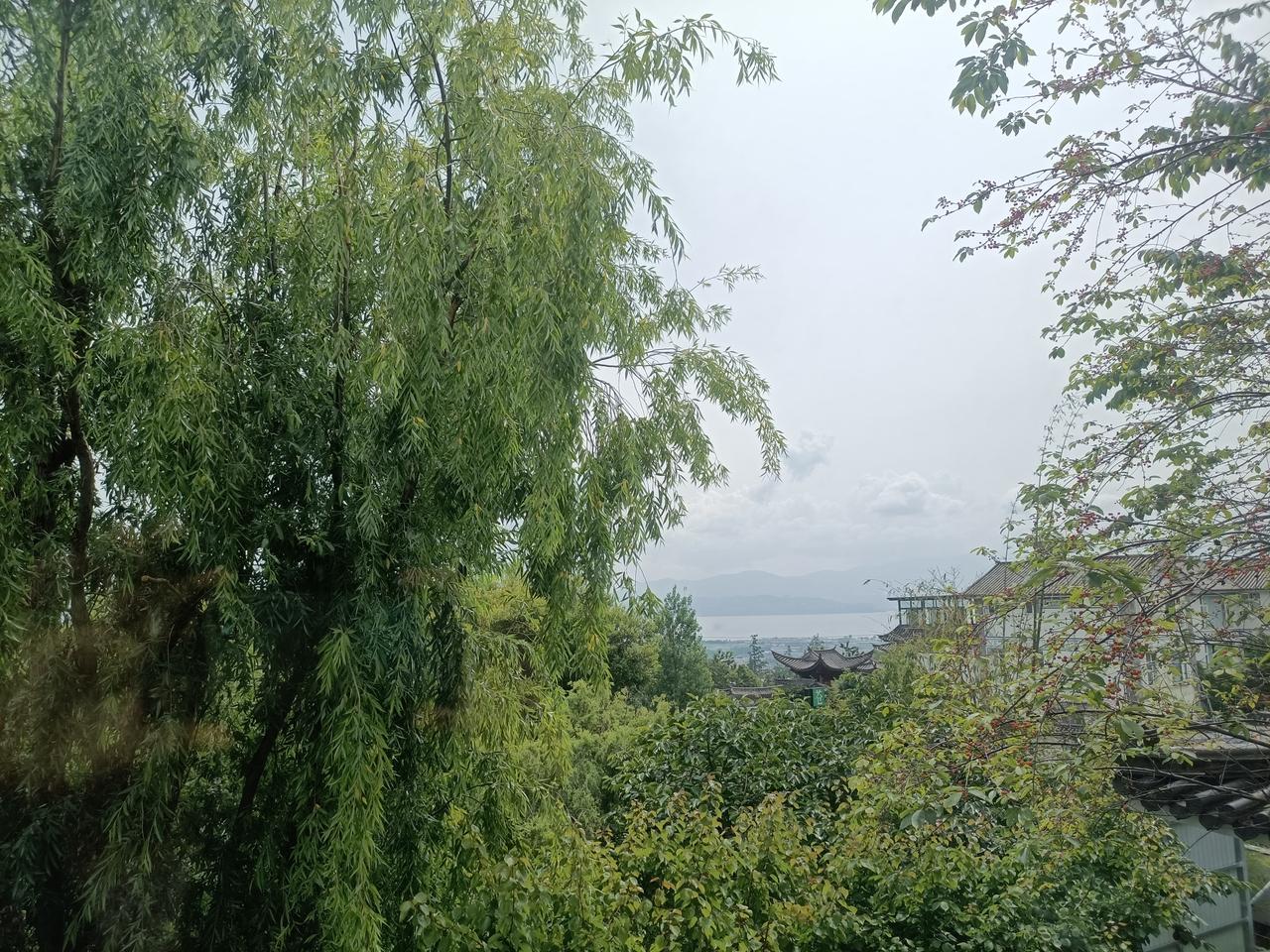 随手拍自然风光