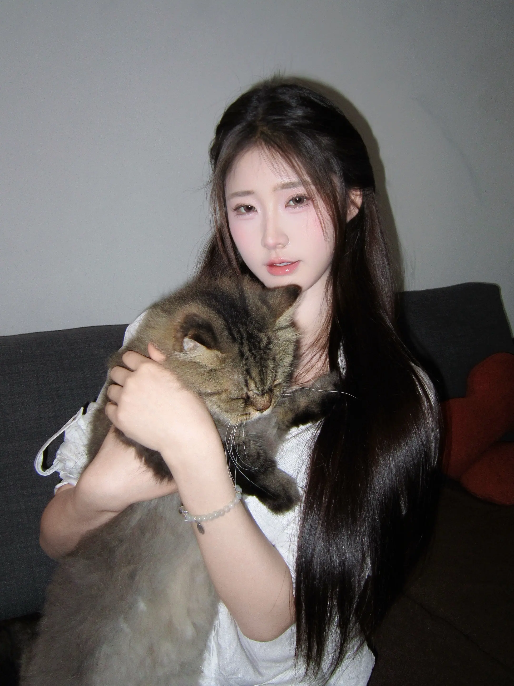 做我的猫