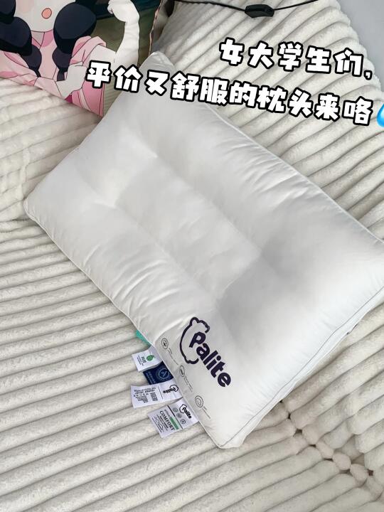 女大学生们，平价又舒服的枕头来咯
