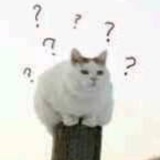 甜豆爱读音乐