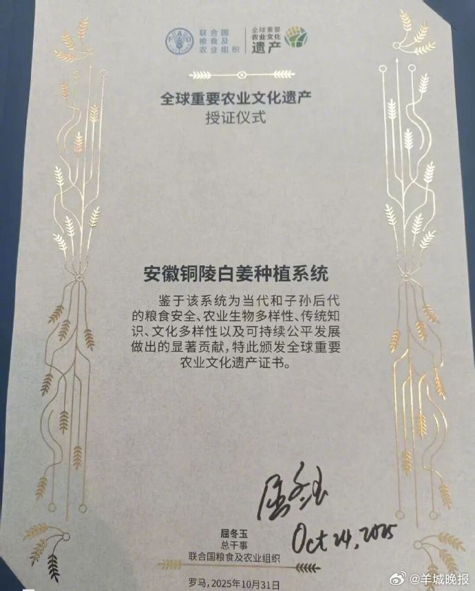 【#铜陵白姜荣膺全球重要农业文化遗产#】#铜陵白姜捧回世界级金名片#当地时间10