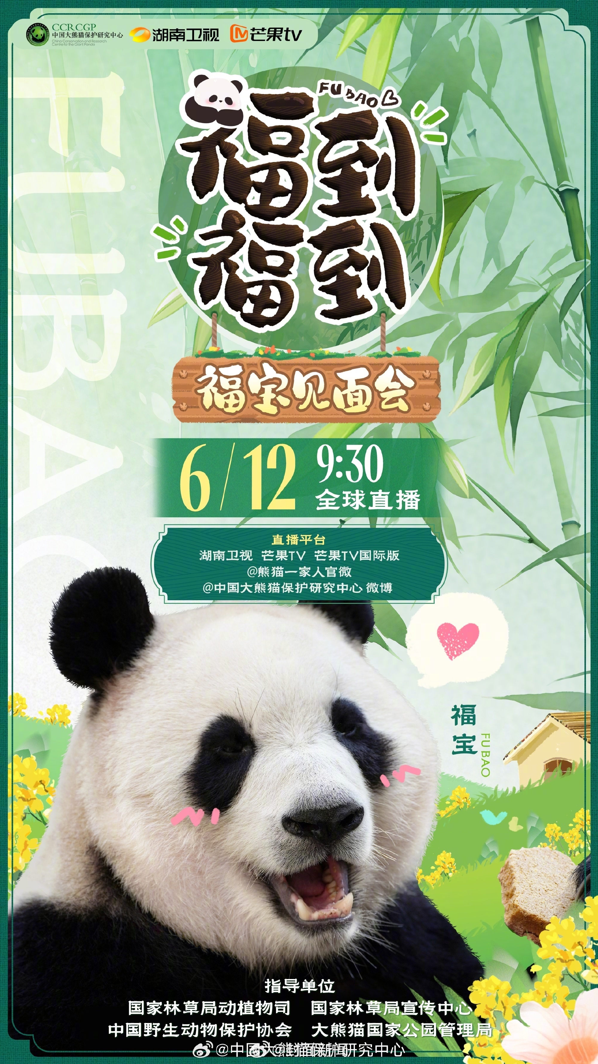 【准备接“福”！#大熊猫福宝将于12日与公众见面#】6月9日，据消息：经过2个多