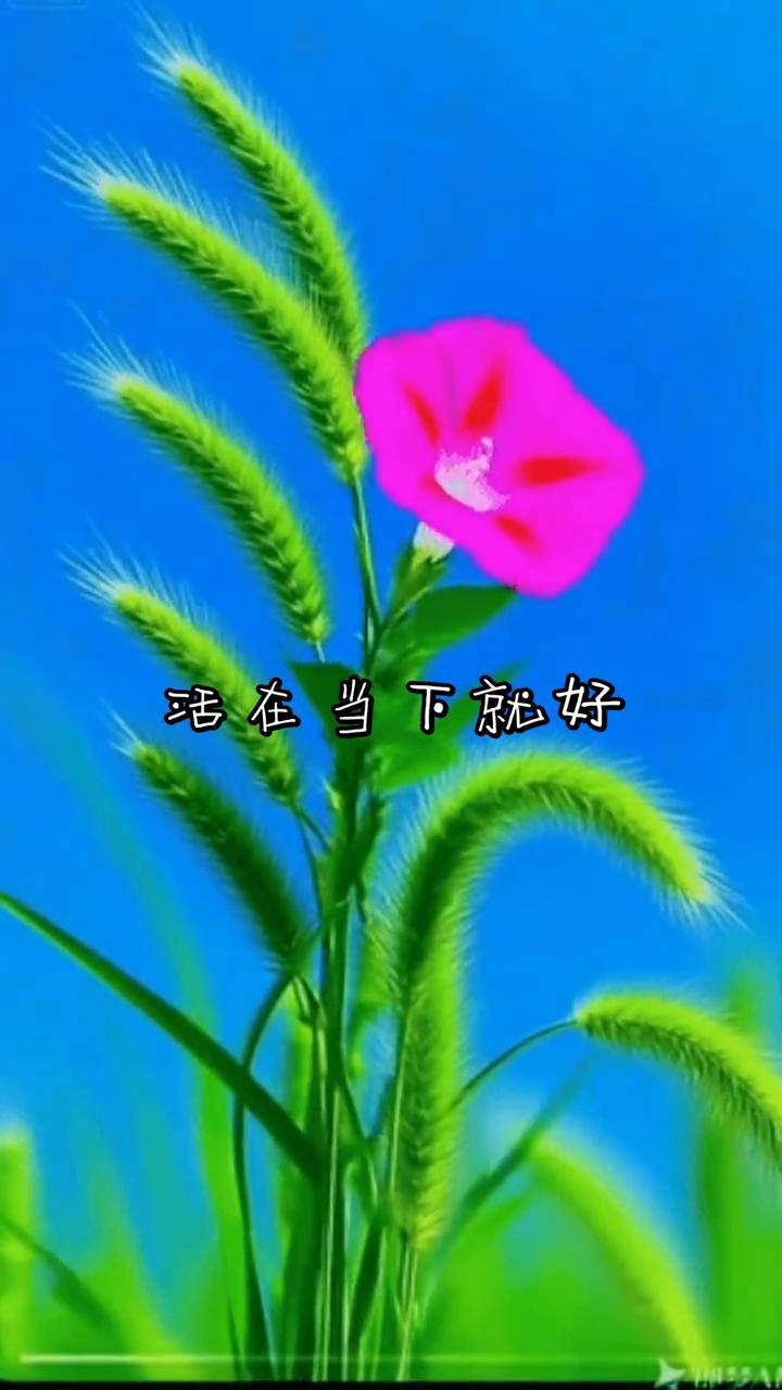 活在当下就好。