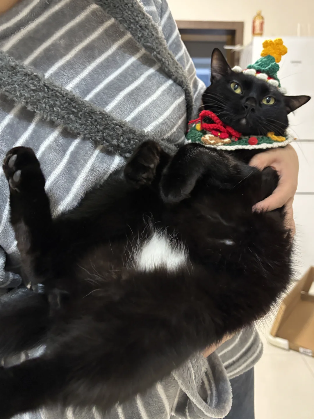 十二月第一天我们过圣诞