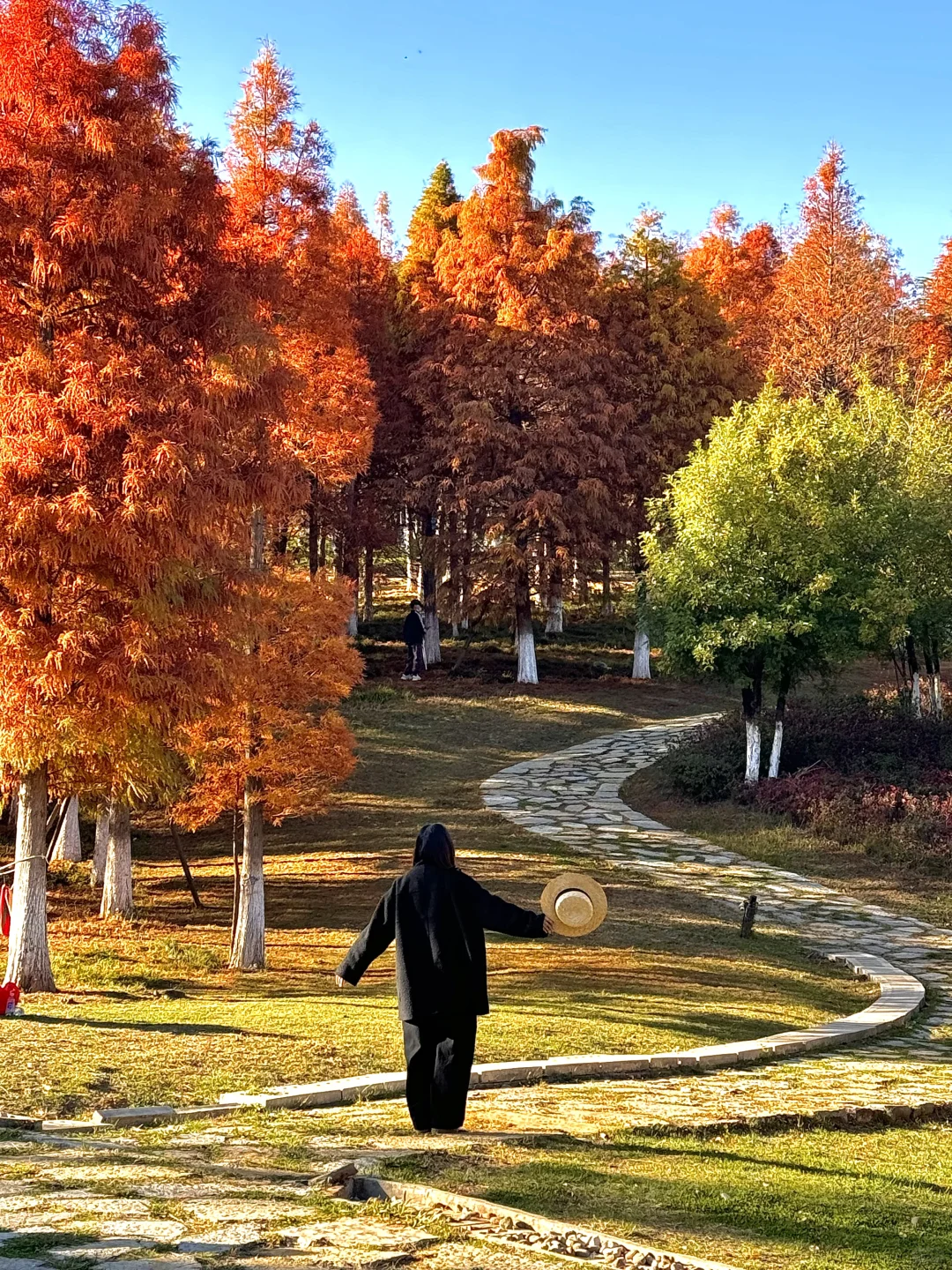 晚秋🍂～有种不在昆明vibe