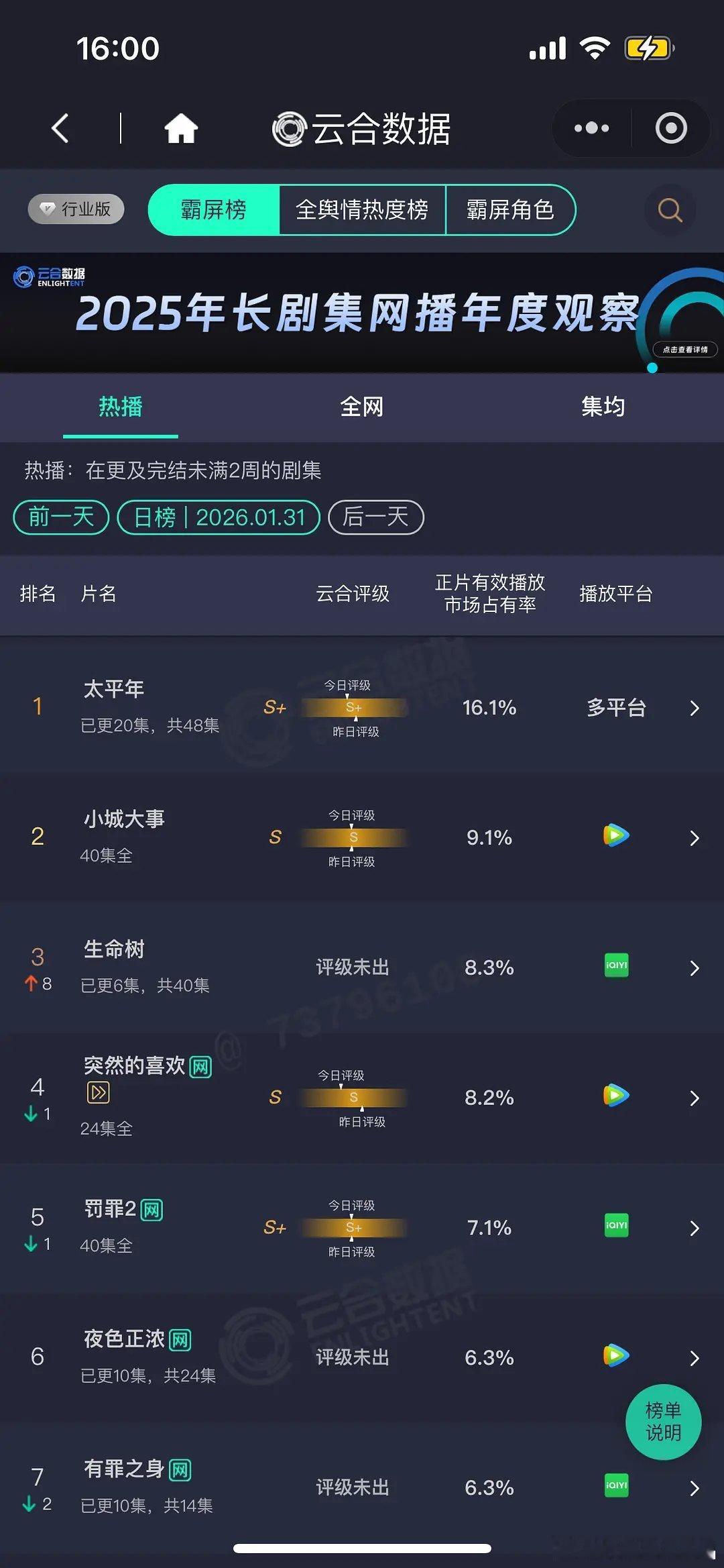 1.31 云合 太平年16.1% 小城9.1% 生命树8.3% 翻了2.37倍年