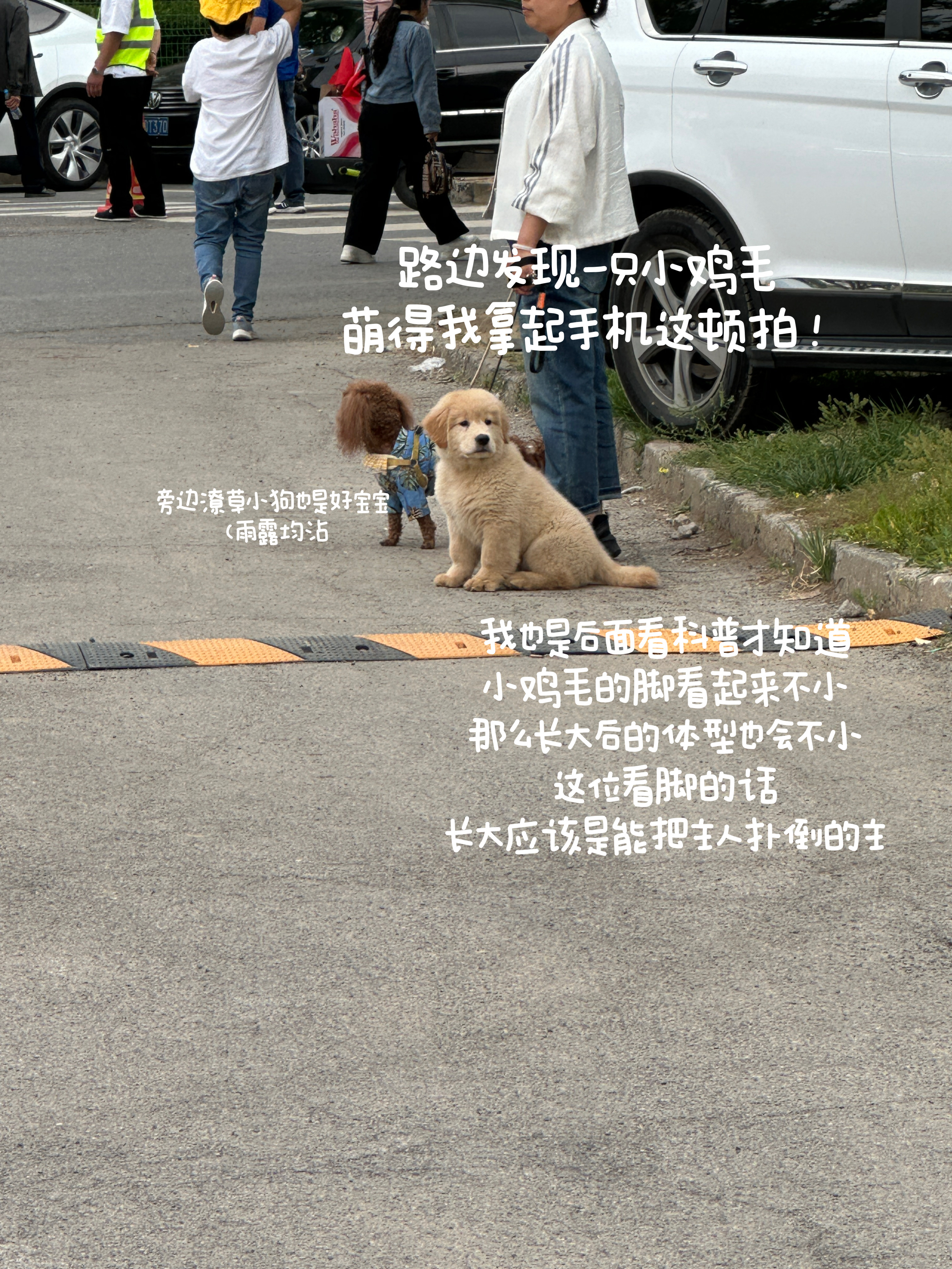 破烂日记·127最近忙的很具体，无名小卒积极向上生活中 