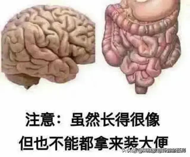 如何看待张老三放弃华为百万年薪原来大脑与大小肠如此相似，大脑用好了是智慧，用不好