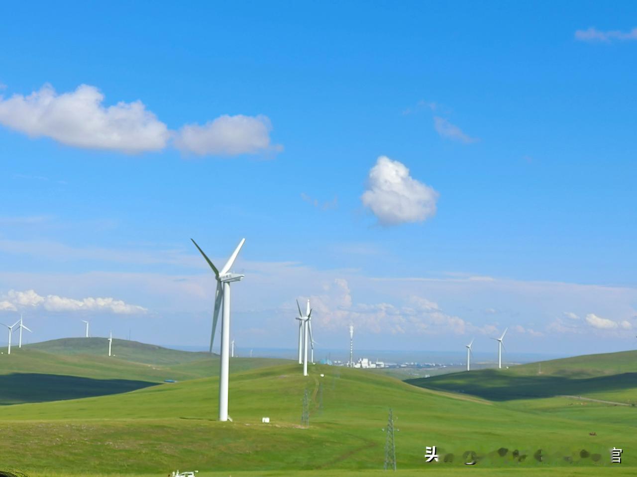 🌟【逃离热浪！东北夏日秘境，解锁20℃的清凉天堂】🌿
从业10+年旅游漠河东