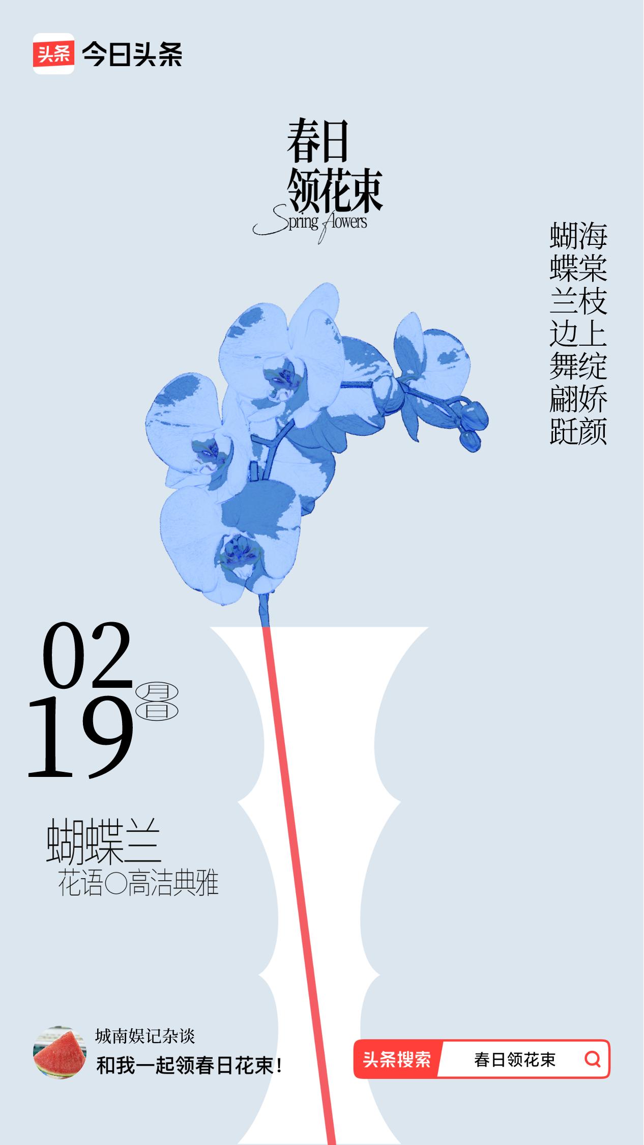 春日领花束我领到了春日花束：蝴蝶兰边舞翩跹，海棠枝上绽娇颜，戳这里👉🏻快来领