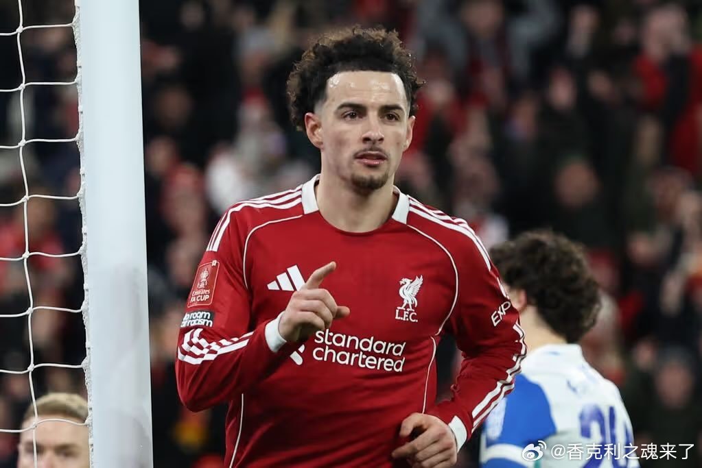 🇳🇱 范迪克🇳🇱 格拉文贝赫🏴󠁧󠁢󠁥󠁮󠁧󠁿 柯蒂斯（琼斯）